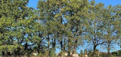 Terrain et maison à Froidfond en Vendée (85) de 90 m² à vendre au prix de 215629€ - 4