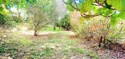 Terrain et maison à Carnoules en Var (83) de 60 m² à vendre au prix de 229000€ - 2