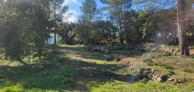 Terrain à Montfort-sur-Argens en Var (83) de 1200 m² à vendre au prix de 135000€ - 2