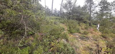 Terrain à Vidauban en Var (83) de 2074 m² à vendre au prix de 95000€ - 2