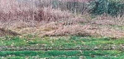 Terrain et maison à Nanteau-sur-Lunain en Seine-et-Marne (77) de 90 m² à vendre au prix de 245000€ - 3