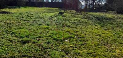 Terrain et maison à Saint-Victurnien en Haute-Vienne (87) de 93 m² à vendre au prix de 231500€ - 4