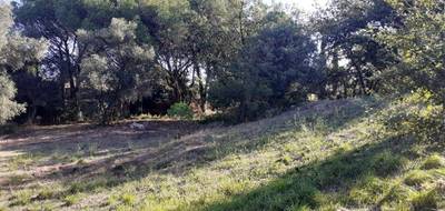 Terrain à Roquebrune-sur-Argens en Var (83) de 1036 m² à vendre au prix de 280000€ - 2