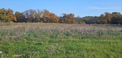 Terrain à Peynier en Bouches-du-Rhône (13) de 779 m² à vendre au prix de 299000€ - 2