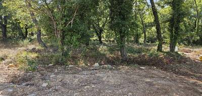 Terrain à Callian en Var (83) de 2877 m² à vendre au prix de 220000€ - 4