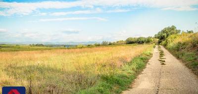Terrain et maison à Espondeilhan en Hérault (34) de 90 m² à vendre au prix de 320000€ - 3