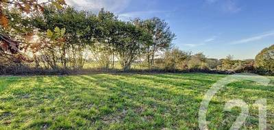 Terrain à Villeneuve-de-Rivière en Haute-Garonne (31) de 2902 m² à vendre au prix de 37000€ - 1
