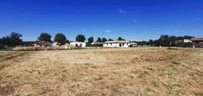 Terrain à Damiatte en Tarn (81) de 1474 m² à vendre au prix de 50000€ - 1