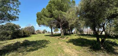 Terrain à Fréjus en Var (83) de 1012 m² à vendre au prix de 245000€ - 1