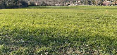 Terrain à Payrin-Augmontel en Tarn (81) de 700 m² à vendre au prix de 56000€ - 2