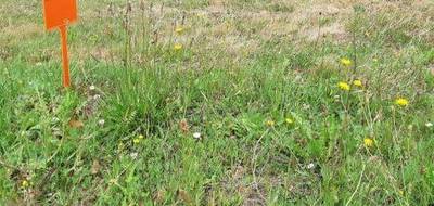 Terrain et maison à Chaumes-en-Retz en Loire-Atlantique (44) de 80 m² à vendre au prix de 223012€ - 4