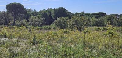 Terrain à Puget-sur-Argens en Var (83) de 628 m² à vendre au prix de 270000€ - 4