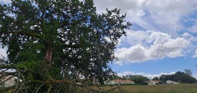 Terrain et maison à Médis en Charente-Maritime (17) de 130 m² à vendre au prix de 391000€ - 3
