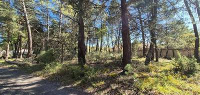 Terrain et maison à Régusse en Var (83) de 130 m² à vendre au prix de 460000€ - 4