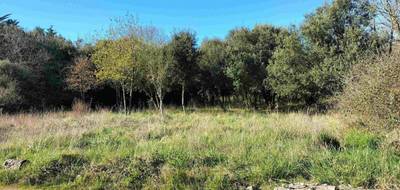 Terrain et maison à Dolus-d'Oléron en Charente-Maritime (17) de 75 m² à vendre au prix de 222099€ - 3