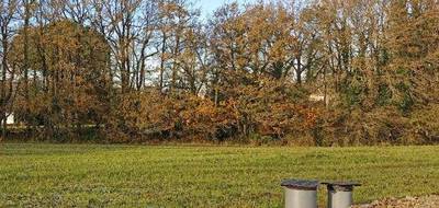 Terrain et maison à Landeronde en Vendée (85) de 80 m² à vendre au prix de 190912€ - 4