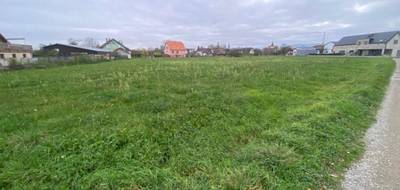 Terrain à Guémar en Haut-Rhin (68) de 386 m² à vendre au prix de 96500€ - 3