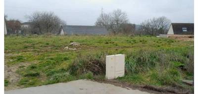 Terrain et maison à Tourville-la-Rivière en Seine-Maritime (76) de 81 m² à vendre au prix de 234722€ - 4