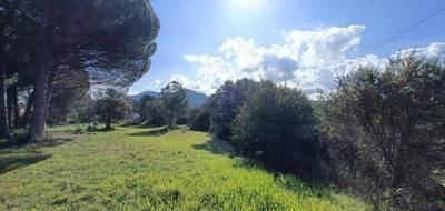 Terrain à Le Muy en Var (83) de 1018 m² à vendre au prix de 245000€ - 1