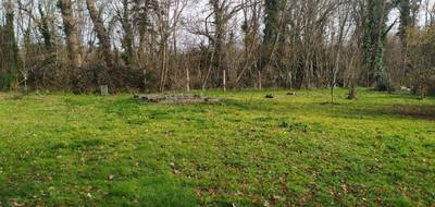 Terrain et maison à Roaillan en Gironde (33) de 130 m² à vendre au prix de 385000€ - 3