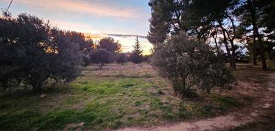 Terrain à Saint-Chamas en Bouches-du-Rhône (13) de 509 m² à vendre au prix de 230000€ - 3