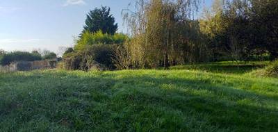 Terrain et maison à Labastide-Clermont en Haute-Garonne (31) de 186 m² à vendre au prix de 464000€ - 3