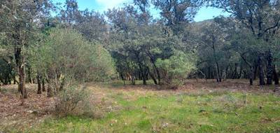 Terrain à Sainte-Anastasie-sur-Issole en Var (83) de 1900 m² à vendre au prix de 136000€ - 4