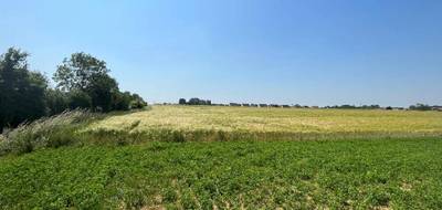 Terrain à Arras en Pas-de-Calais (62) de 483 m² à vendre au prix de 59000€ - 2