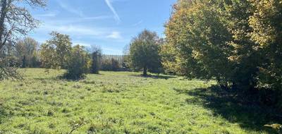 Terrain et maison à Margaux-Cantenac en Gironde (33) de 145 m² à vendre au prix de 473362€ - 3