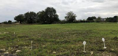 Terrain et maison à Villebarou en Loir-et-Cher (41) de 84 m² à vendre au prix de 235170€ - 4