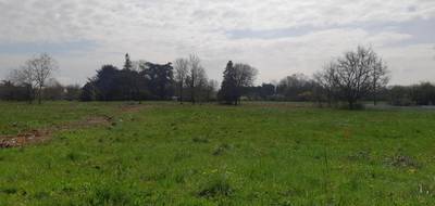 Terrain et maison à Gémil en Haute-Garonne (31) de 186 m² à vendre au prix de 519200€ - 4