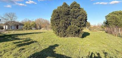 Terrain et maison à Plaisance-du-Touch en Haute-Garonne (31) de 95 m² à vendre au prix de 331000€ - 4
