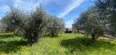 Terrain à Sainte-Tulle en Alpes-de-Haute-Provence (04) de 614 m² à vendre au prix de 150000€ - 1