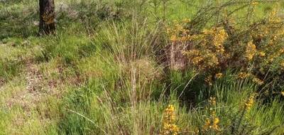 Terrain à La Teste-de-Buch en Gironde (33) de 501 m² à vendre au prix de 395000€ - 4