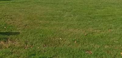 Terrain et maison à Grues en Vendée (85) de 90 m² à vendre au prix de 235099€ - 4