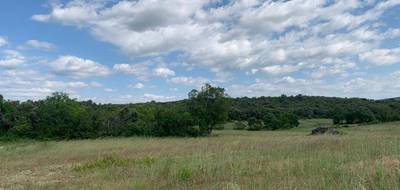 Terrain et maison à Brissac en Hérault (34) de 130 m² à vendre au prix de 398750€ - 4