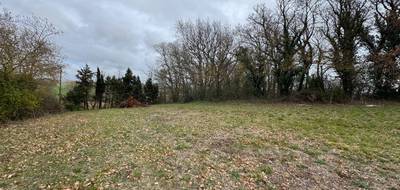 Terrain à Castelnaudary en Aude (11) de 4087 m² à vendre au prix de 75000€ - 1