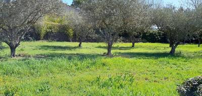 Terrain et maison à Brignoles en Var (83) de 90 m² à vendre au prix de 398000€ - 2
