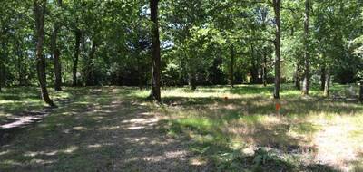 Terrain à Audenge en Gironde (33) de 800 m² à vendre au prix de 280000€ - 2