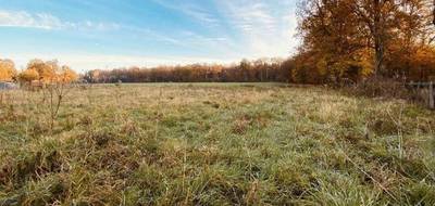 Terrain et maison à Basses en Vienne (86) de 89 m² à vendre au prix de 150020€ - 4