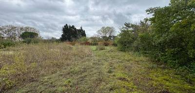 Terrain à Castelnaudary en Aude (11) de 800 m² à vendre au prix de 65000€ - 1