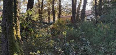 Terrain à Saint-Brevin-les-Pins en Loire-Atlantique (44) de 728 m² à vendre au prix de 231000€ - 2