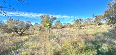 Terrain et maison à Bagnols-en-Forêt en Var (83) de 74 m² à vendre au prix de 375000€ - 3