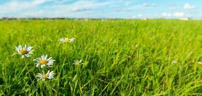 Terrain à Le Poinçonnet en Indre (36) de 1650 m² à vendre au prix de 60000€ - 2