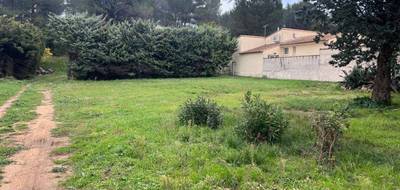 Terrain à Fontvieille en Bouches-du-Rhône (13) de 900 m² à vendre au prix de 350000€ - 3