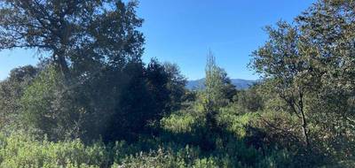 Terrain à Puget en Vaucluse (84) de 1165 m² à vendre au prix de 235000€ - 3