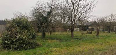 Terrain et maison à Saint-Gervais-la-Forêt en Loir-et-Cher (41) de 99 m² à vendre au prix de 262609€ - 3