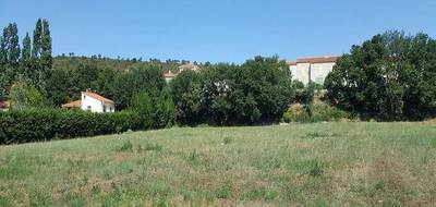Terrain et maison à Tautavel en Pyrénées-Orientales (66) de 145 m² à vendre au prix de 428000€ - 3