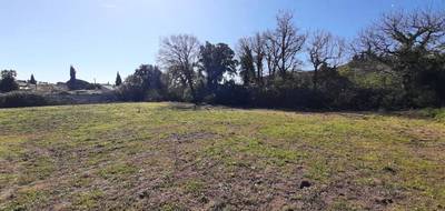 Terrain à Puget-sur-Argens en Var (83) de 1055 m² à vendre au prix de 270000€ - 1