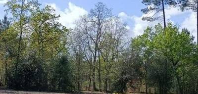 Terrain à La Brède en Gironde (33) de 1200 m² à vendre au prix de 249000€ - 1